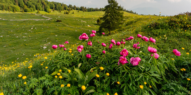 Vallagarina - Monte Baldo