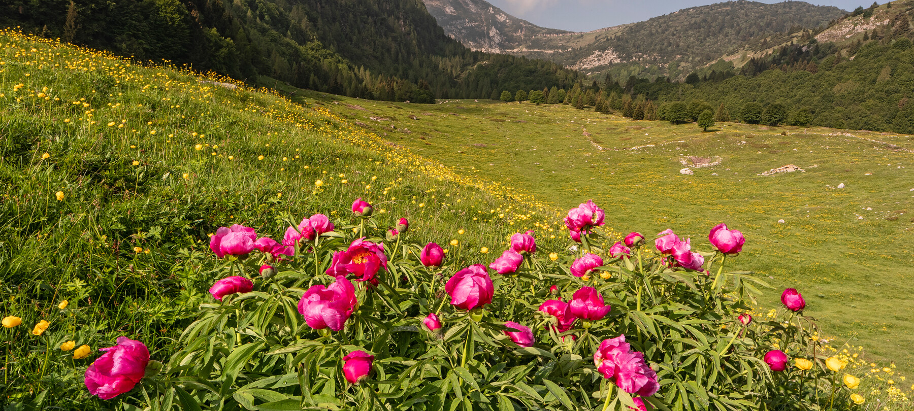 Vallagarina - Monte Baldo
