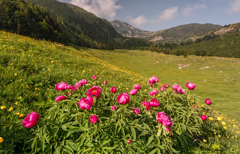 Vallagarina - Monte Baldo