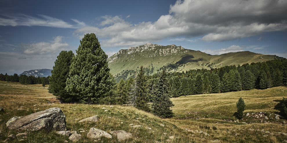 Val di Fiemme - Malga Canvere