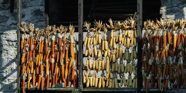 Bleggio Superiore  #7