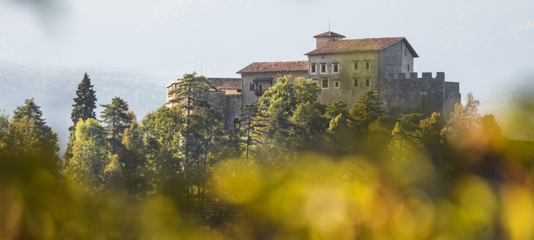 Castello di Stenico. Alcune fila di larici e abeti ne nascondono parzialmente la vista. In primissimo piano, sfocate, foglie che hanno i colori dell’autunno.