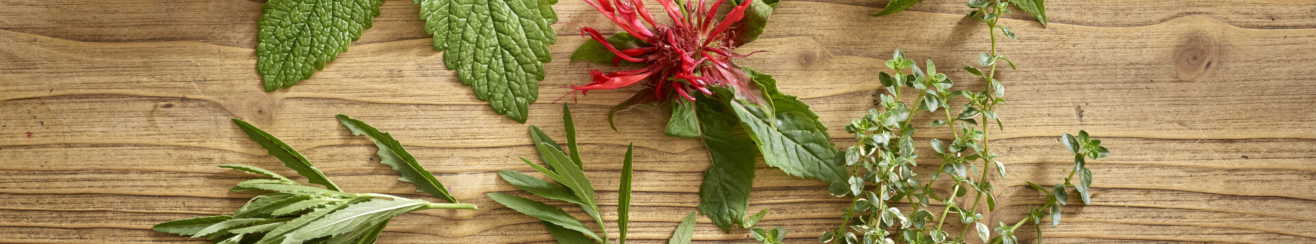 „Steile“ Geschmackserlebnisse