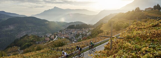 Valle di Cembra - Cicloturismo