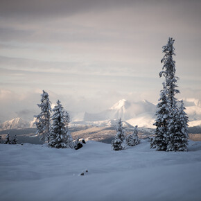 Val di Fiemme - Passo Lavaz?