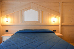 abete_bianco (8 of 60) - Copia