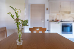 particolare cucina mughetto