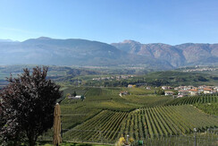 IMG_20171013_140648 (2)