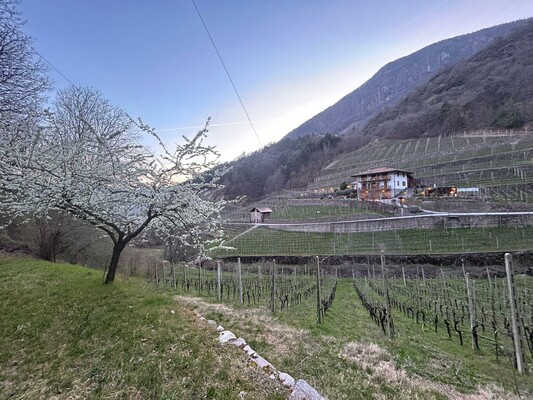 Maso Val Fraia