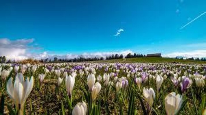 montagna_trentino_weekend-appartamentierica_folgar