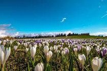 montagna_trentino_weekend-appartamentierica_folgar