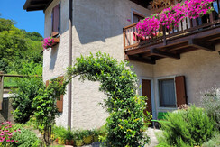 WhatsApp Image 2024-07-30 at 08.57.24