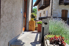 WhatsApp Image 2024-07-30 at 08.57.38