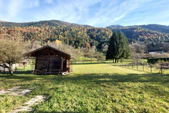 IMG-20240216-WA0005