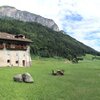  Foto von Appartement/Fewo