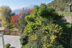 Vista del giardino
