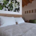 Foto di Suite Peverina