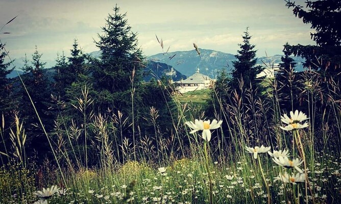 Landscape Baita Tonda