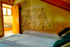 IMG-20221207-WA0002