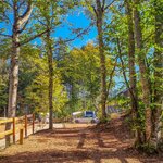 Zdjęcie Boisko Przyrodnicze