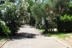 Camping_Europa_Torbole_14