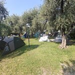  Фото Турбаза