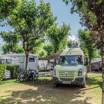  Photo of Pitch "MEDIUM"