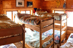 Immagine WhatsApp 2024-02-14 ore 15.53.27_dcd96b4e