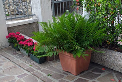IMG-20220220-WA0008