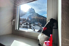 IMG_20231128_141555_109