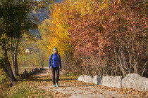 Aut_foliage_trekking_2017_Gober (12)