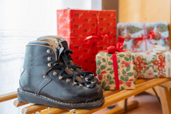 APT_Debertolis Giovanni-23