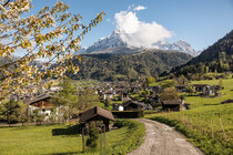 panoramiche primiero ph. dolomitesweb 5