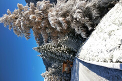 CASA ALBERO neve__