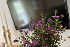 Casa_di-montagna_19