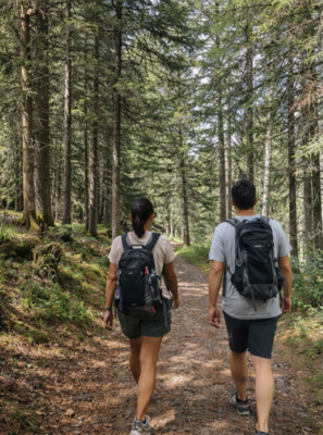 Along the Trails of Alpe Cimbra