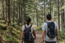 Auf den Wegen der Alpe Cimbra