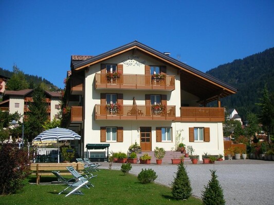 The garden in Summer