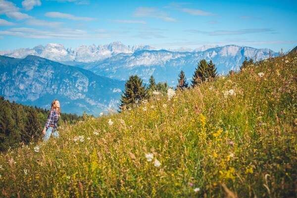 Istituzionali 2022 Alpe Cimbra  (212)
