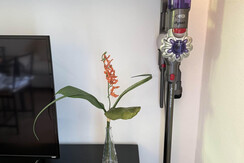 image00022