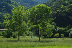 DSCF6583