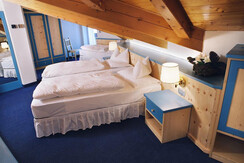 Rododendro mansardata