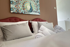 Cam Suite Lido101 thumbnail_IMG_8719