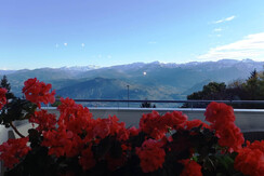 terrazza_dettaglio_fiorni