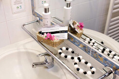hotel vienna bagno