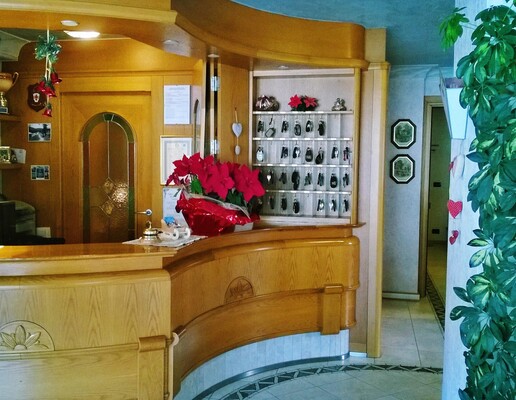 Home - Villa Emma M. Campiglio (2)