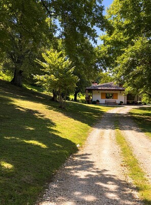 WhatsApp Image 2026-03-02 at 17.52.27