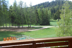 vista dalla finestra