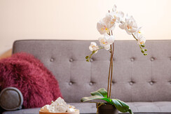 Puk_0004695_WEB