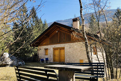 2497162_IMG_ICG